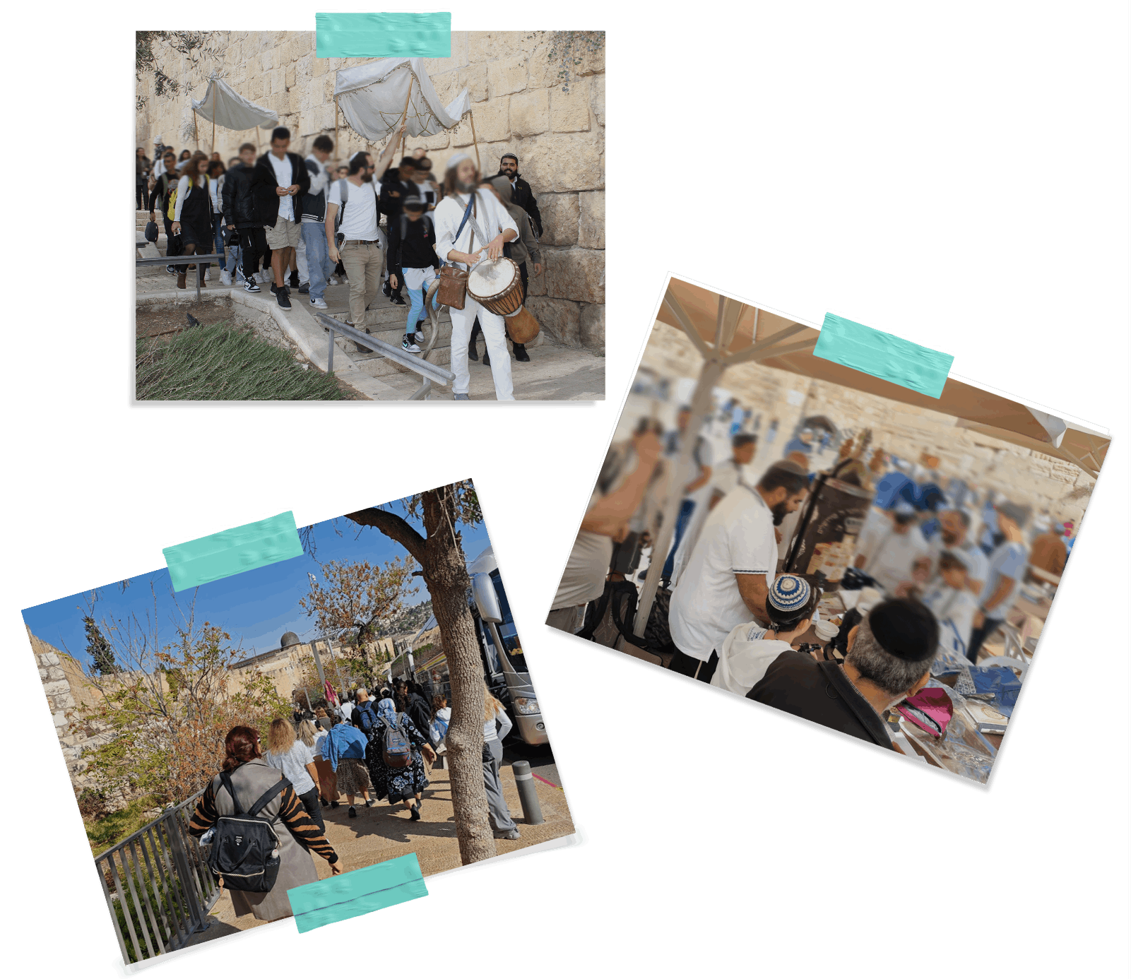 תמונת אוירה של תלפיות